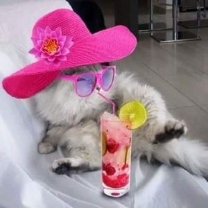 Meet your Posher, Angie